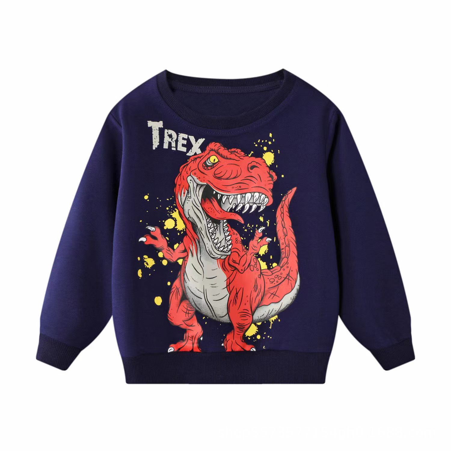 Dinosaur Print Children's Sweatshirt