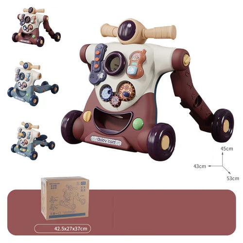 Baby Multi-function Walker