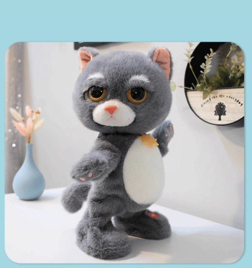 Talking and Dancing Plush