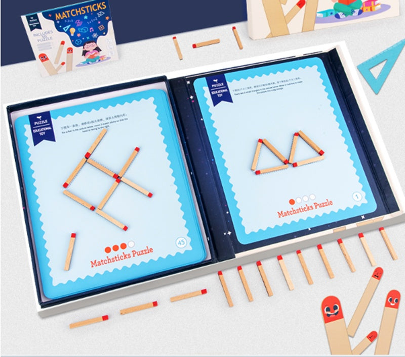 Thinking Match Montessori Toy