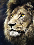 Diamond Painting Set Lion