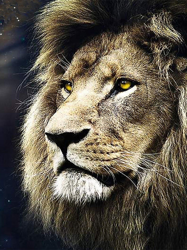 Diamond Painting Set Lion