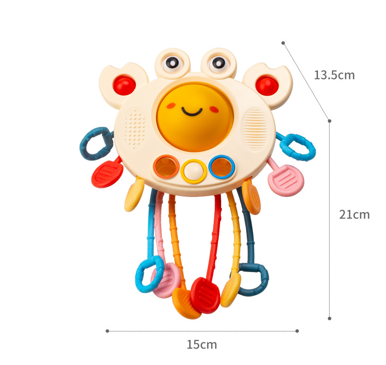 Crab Educational Toys