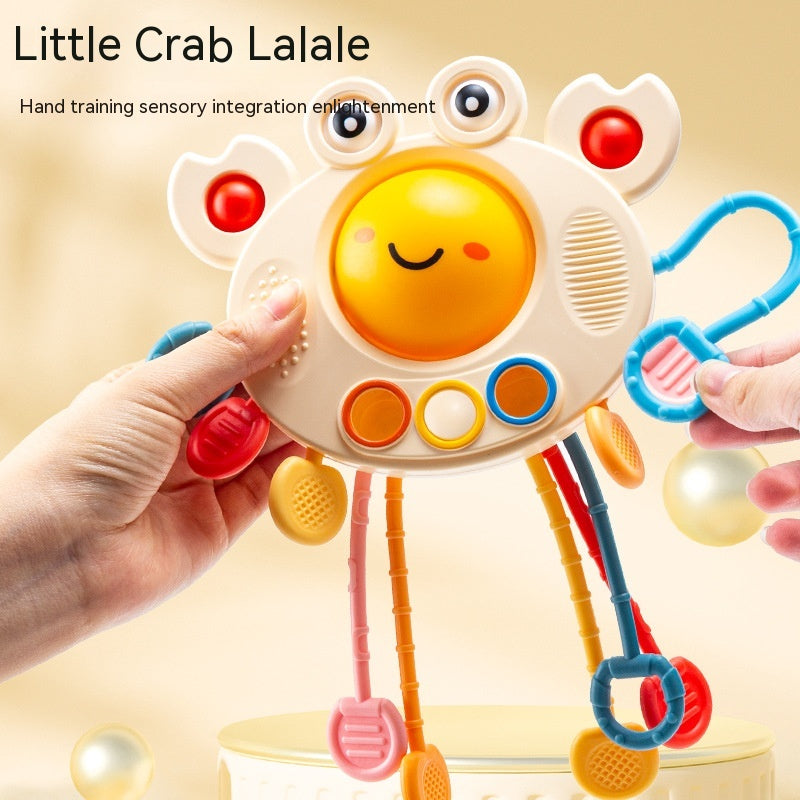 Crab Educational Toys