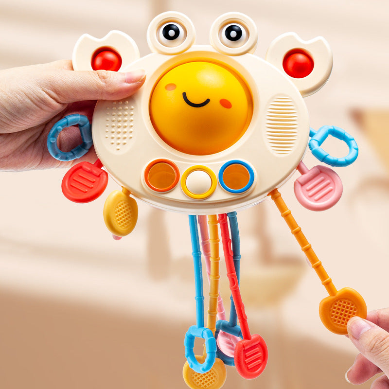 Crab Educational Toys