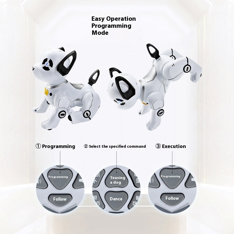 R/C Robot Dog with Stunt Programming