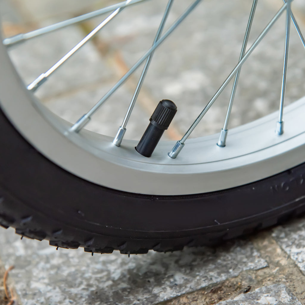 Youth Kick Scooter with 16" Inflatable Rubber Tires