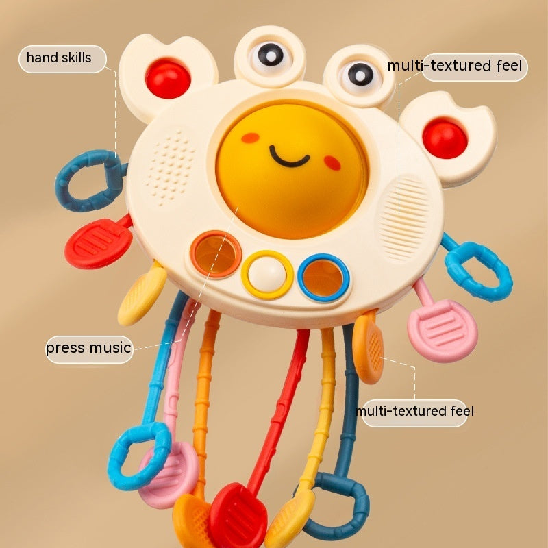 Crab Educational Toys