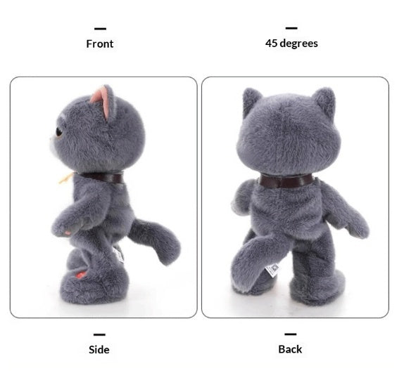 Talking and Dancing Plush