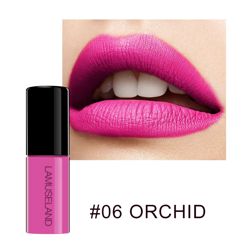 Waterproof Non-Stick Lip Glaze