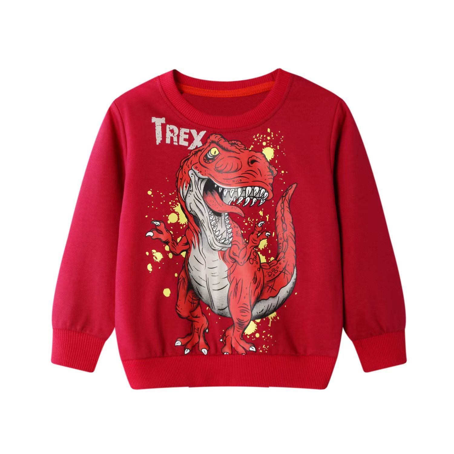Dinosaur Print Children's Sweatshirt