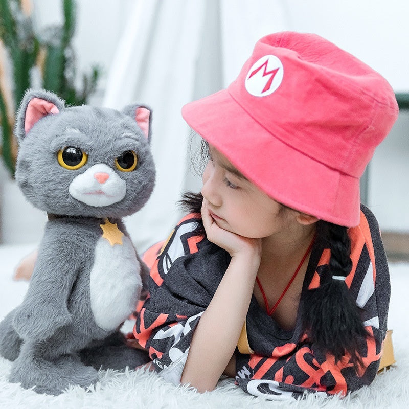 Talking and Dancing Plush