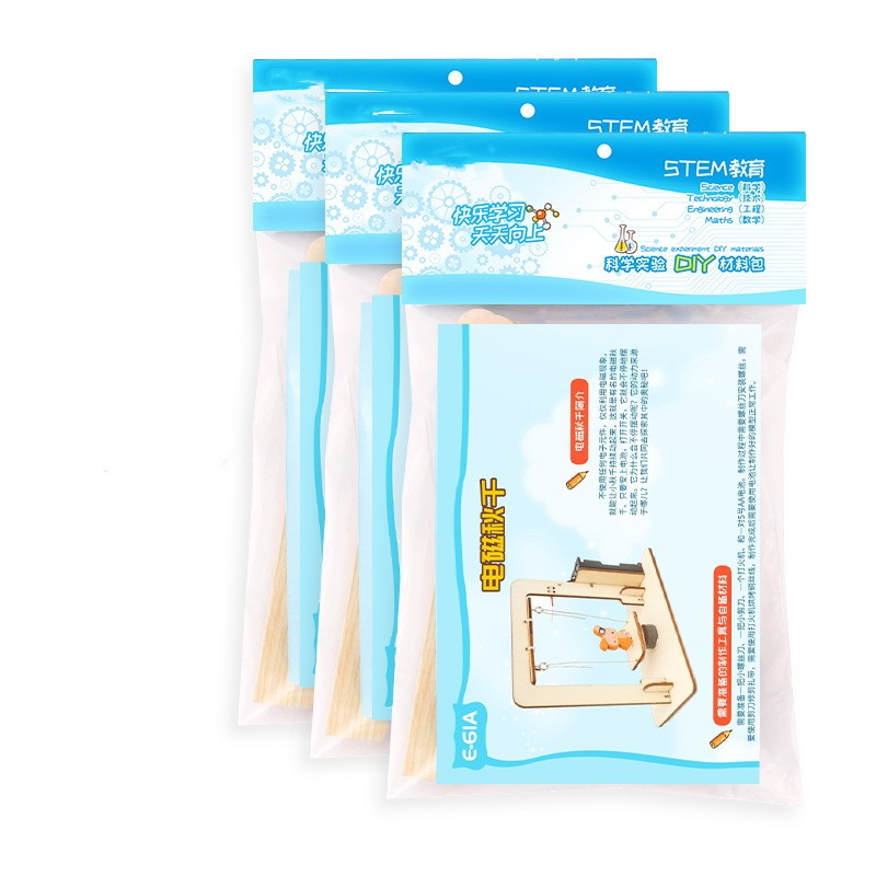 STEM Kit - Electromagnetic Swing