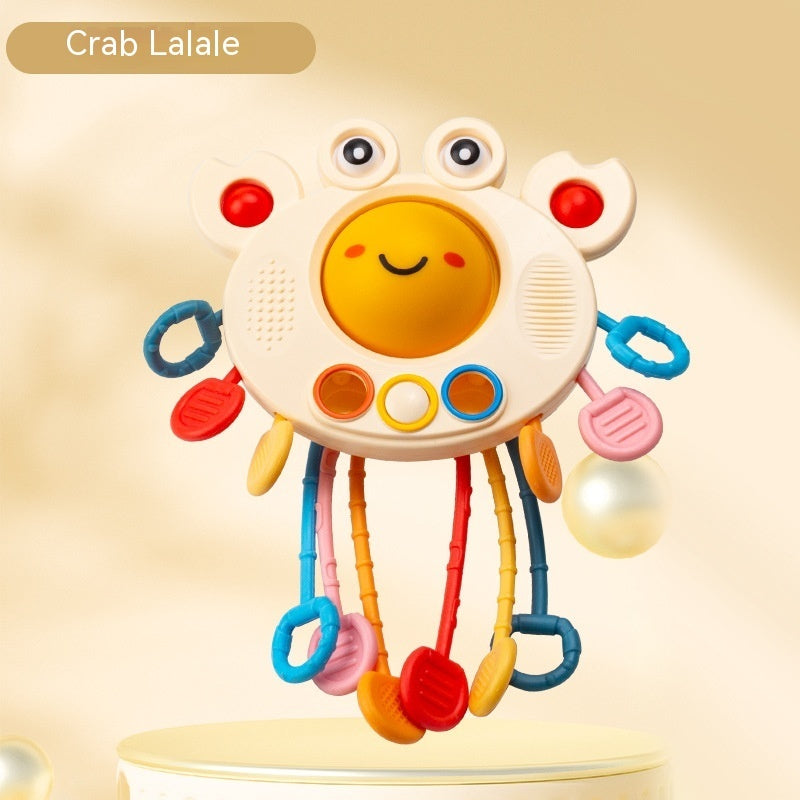 Crab Educational Toys
