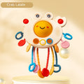 Crab Educational Toys
