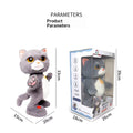 Talking and Dancing Plush