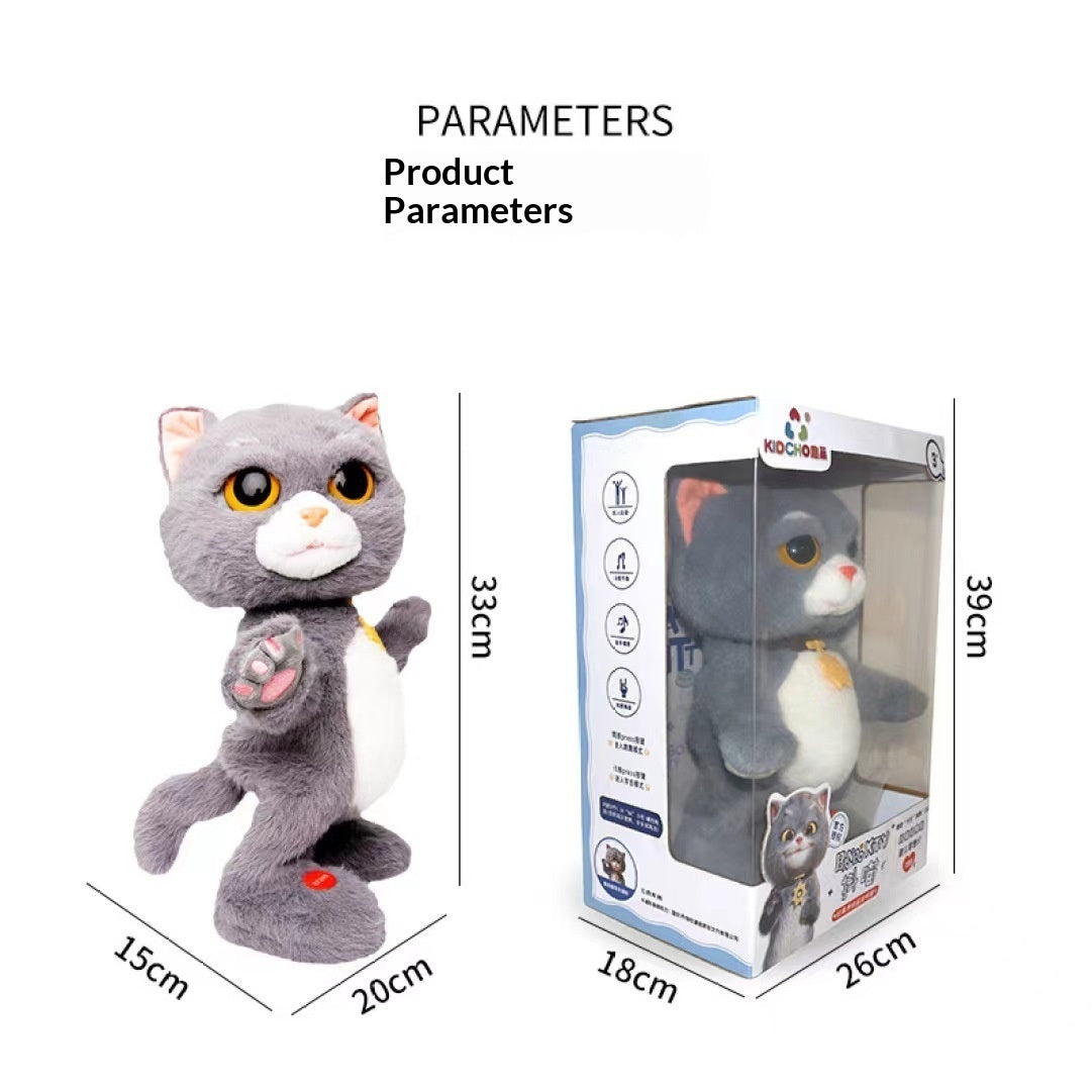 Talking and Dancing Plush