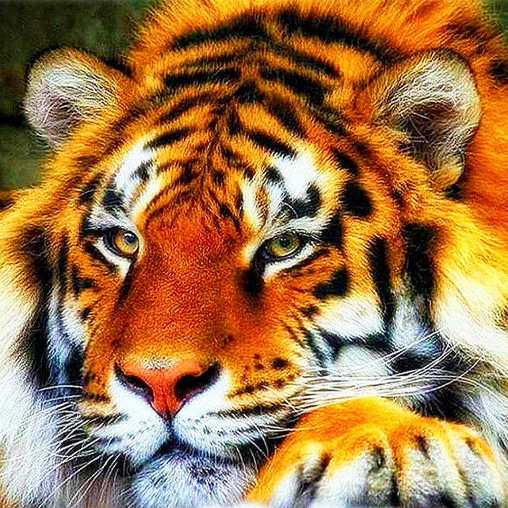 5D DIY Diamond Painting Animal