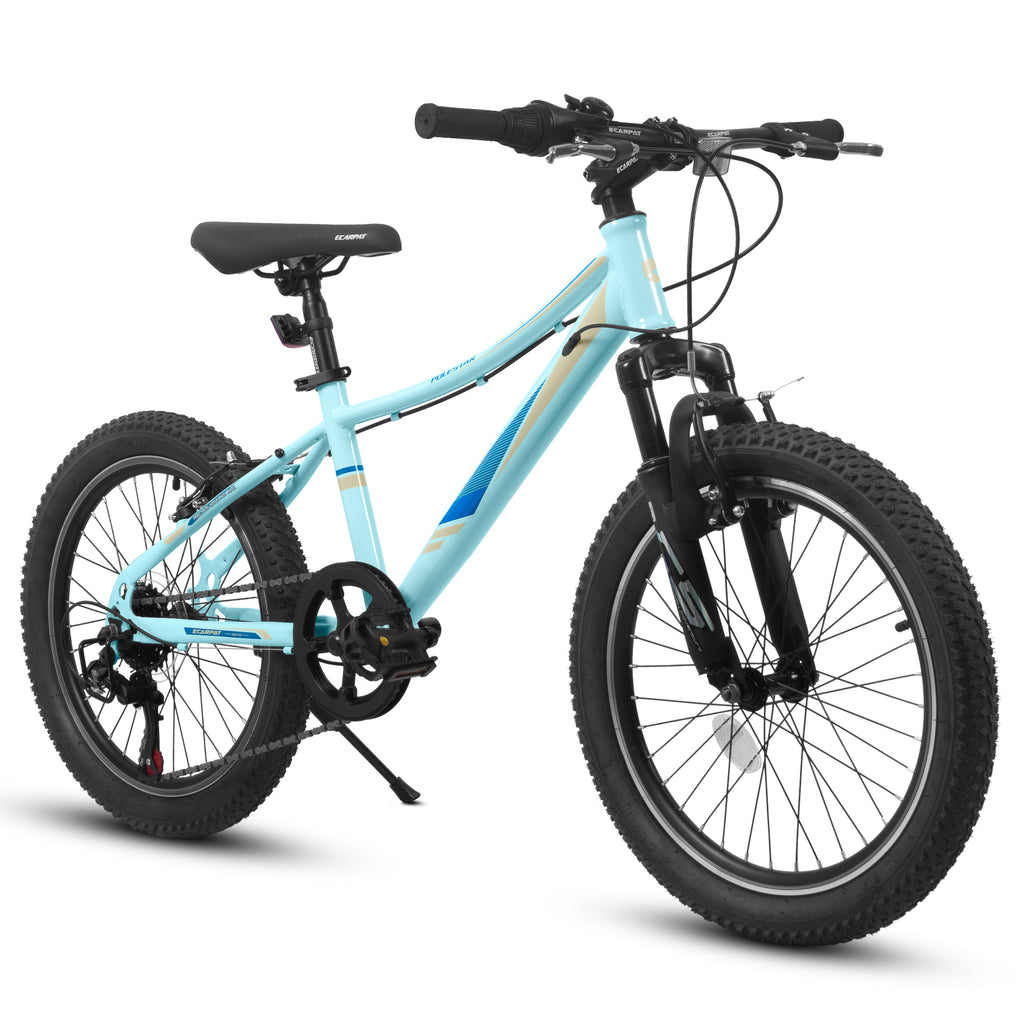 20 Inch Children's Bicycle