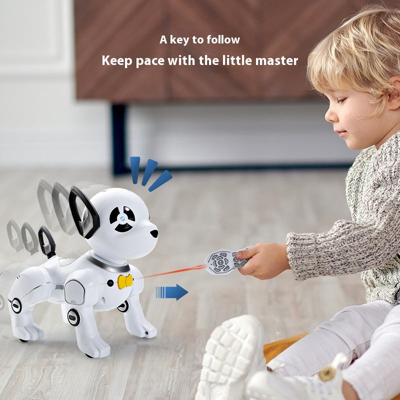 R/C Robot Dog with Stunt Programming