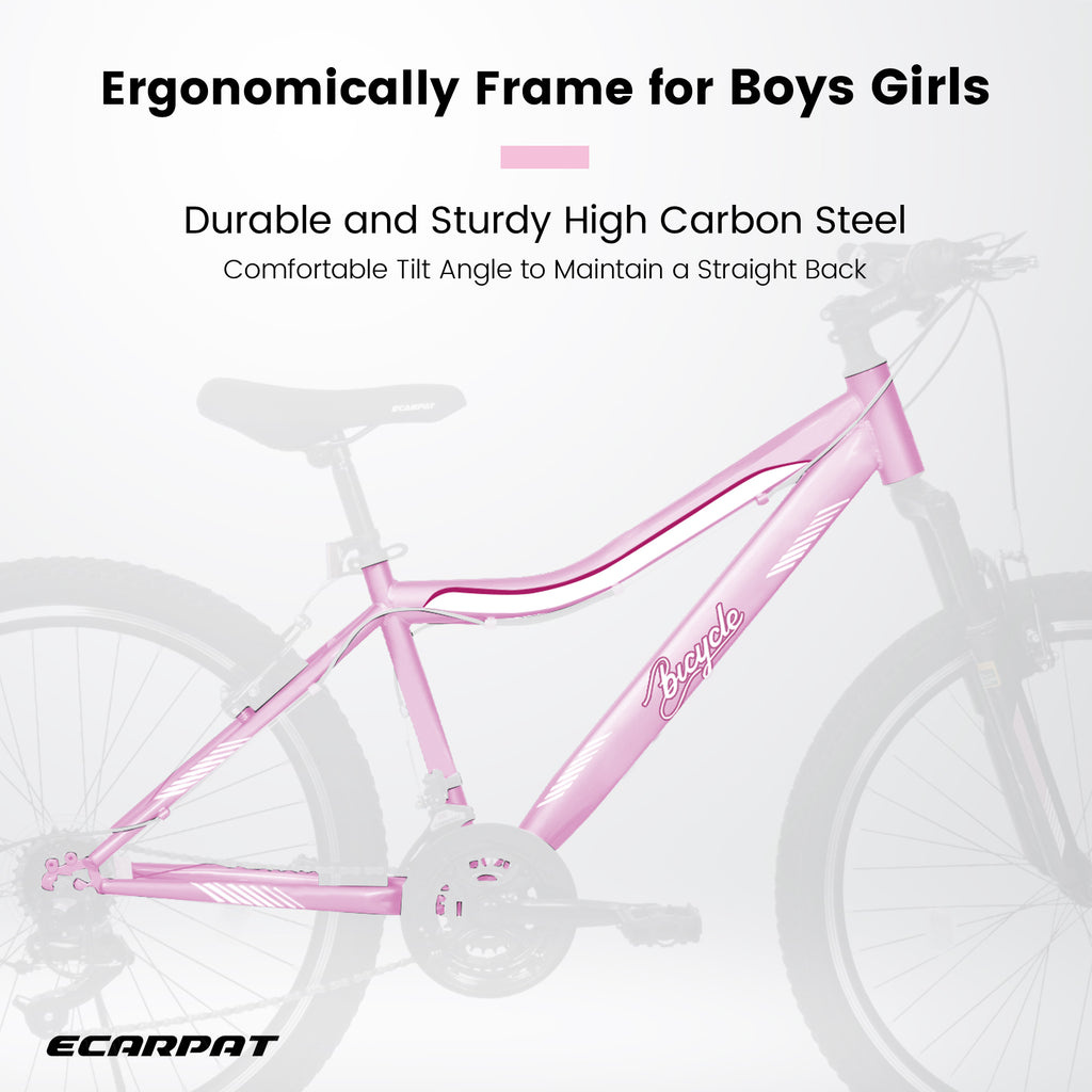 Pink Mountain Bike 24/26 Inch