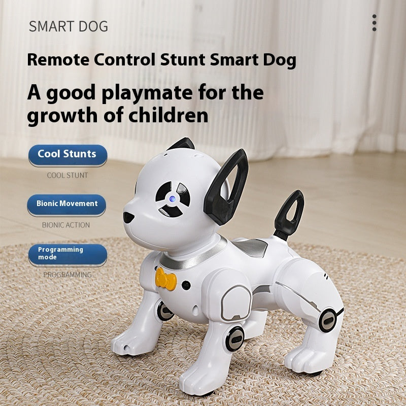 R/C Robot Dog with Stunt Programming